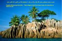 hadith-en-018