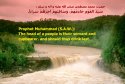 hadith-en-049