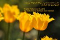hadith-en-053