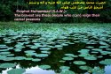 hadith-en-056