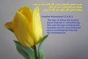 hadith-en-063