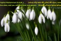 hadith-en-135