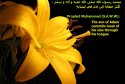 hadith-en-178