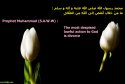 hadith-en-186