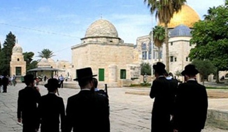 جماعة يهودية صهيونية تدعو لإعادة بناء الهيكل المزعوم