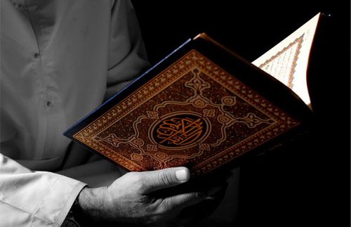 التعارف في المفهوم القرآني