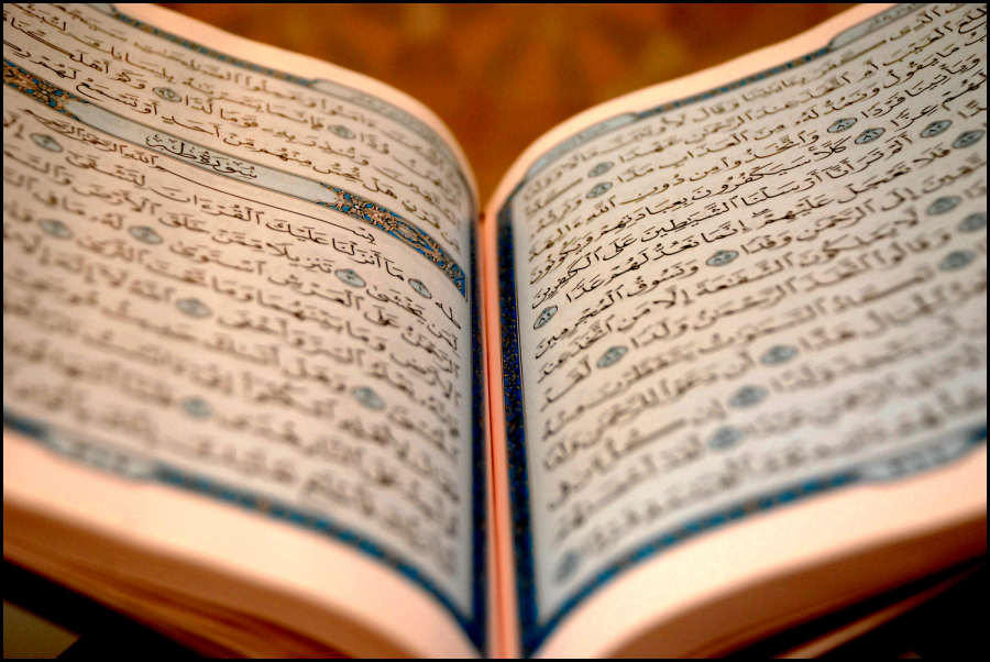 العقل في القرآن الكريم
