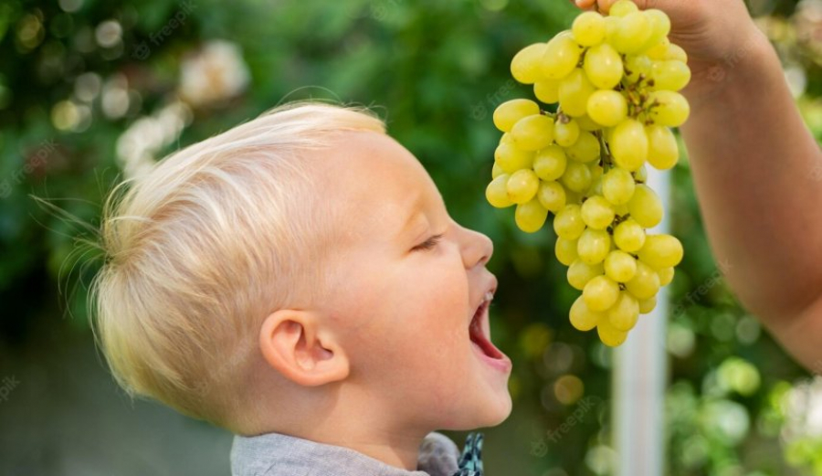 أكل العنب يقلل من خطر الإصابة بـ&quot;ألزهايمر&quot; ويطيل العمر 5 سنوات