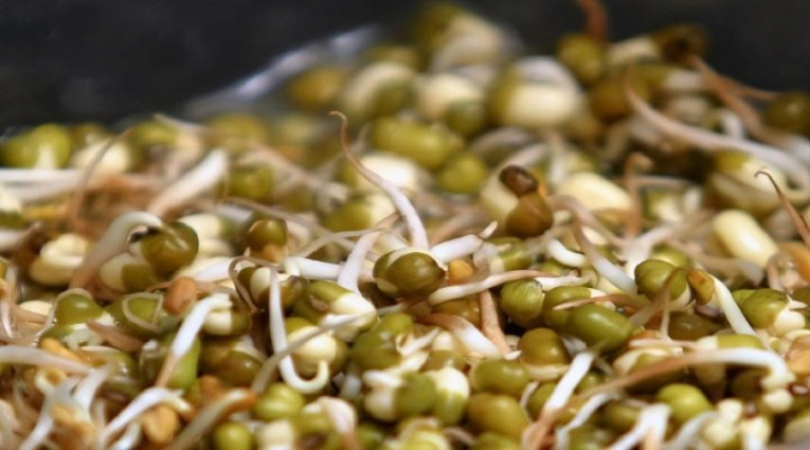 باحثون إيرانيون یستخدمون نبات الحلبة لعلاج السكري