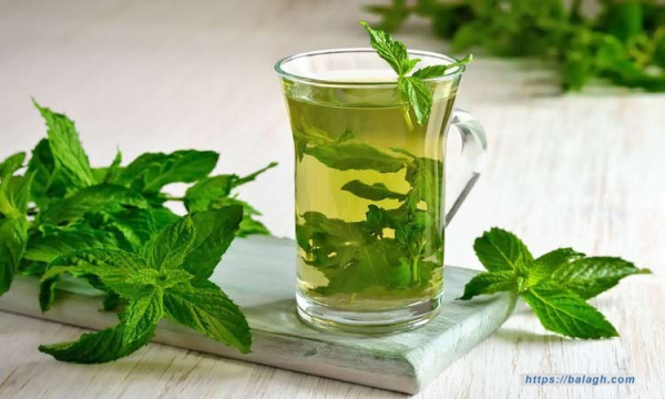 فوائد النعناع لا مثيل لها.. تعرف عليها للحفاظ على صحتك