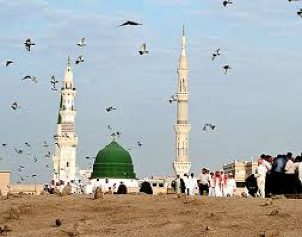 من هم الشيعة و من هم السنة ؟