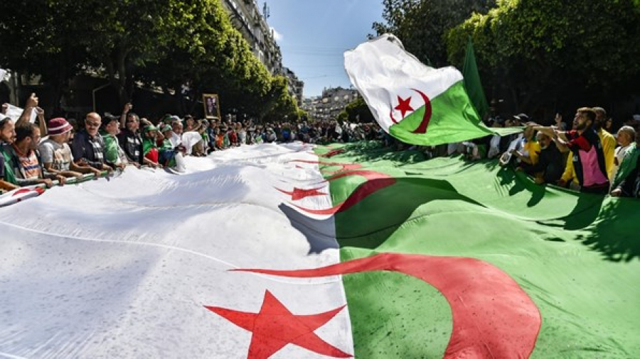 الجزائريون في الخارج يشاركون في التصويت