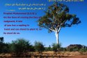 hadith-en-103