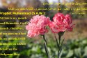 hadith-en-104