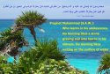 hadith-en-106