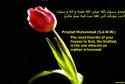 hadith-en-181