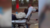 UCLA student hospitalized during hunger strike for Gaza
