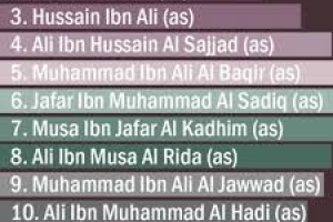 The Twelve Successors of the Holy Prophet (peace be upon him and his Progeny)