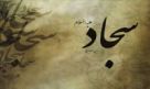 Poem on the martyrdom anniversary of Imam Sajjad (AS)