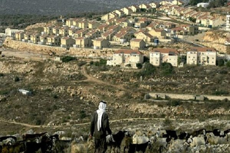 UN Slams Expansion of Illegal Settlements in Occupied Palestine