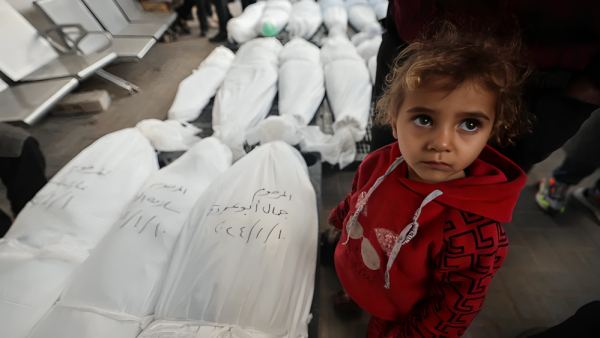 ‘Systematic genocide’: Gaza media office says Israel deliberately killing women, children
