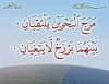 The Pearl of the Sea of Prophethood and Imamate