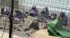 Hamas calls for urgent legal action to stop ‘systematic assassinations’ of Palestinian detainees