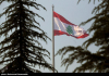 Hezbollah congratulates Iran on 'great achievement' of imposing end to aggression
