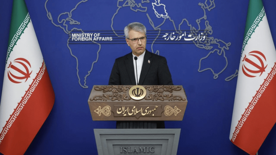 Baghaei Explains the Reason for the Pakistani Interior Minister's Visit