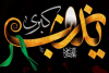The Final Chapter of the Lady of Patience: An Account of Lady Zaynab’s (PBUH) Passing