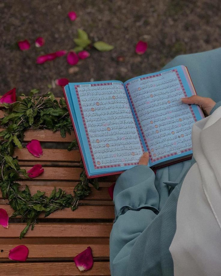 Precise Stages of Human Embryonic Development