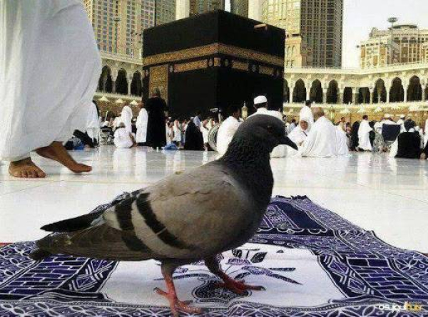 What is the philosophy of Hajj?