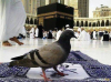 What is the philosophy of Hajj?