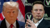 From bromance to blowout: Trump-Musk feud and the fallout of capitalist greed