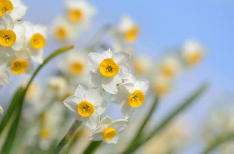 How can one strengthen a spiritual connection with Imam Mahdi (AJ)?