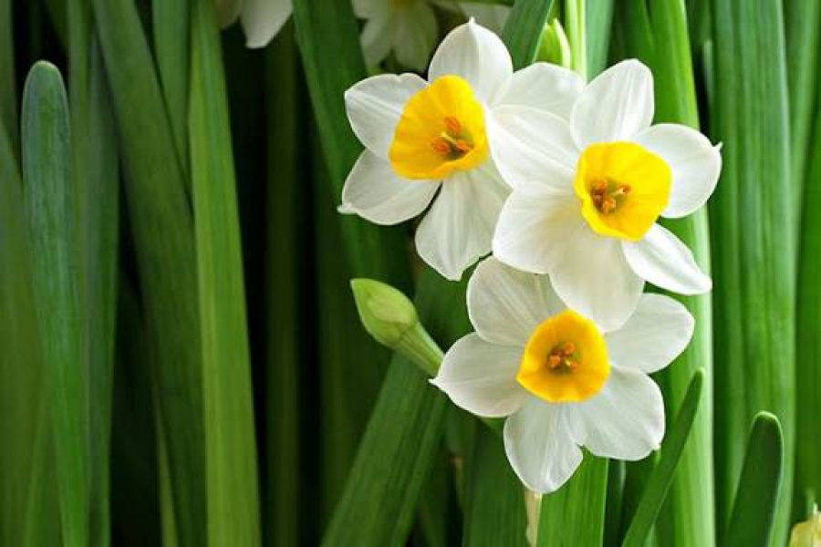 When Ease Walks Beside Hardship