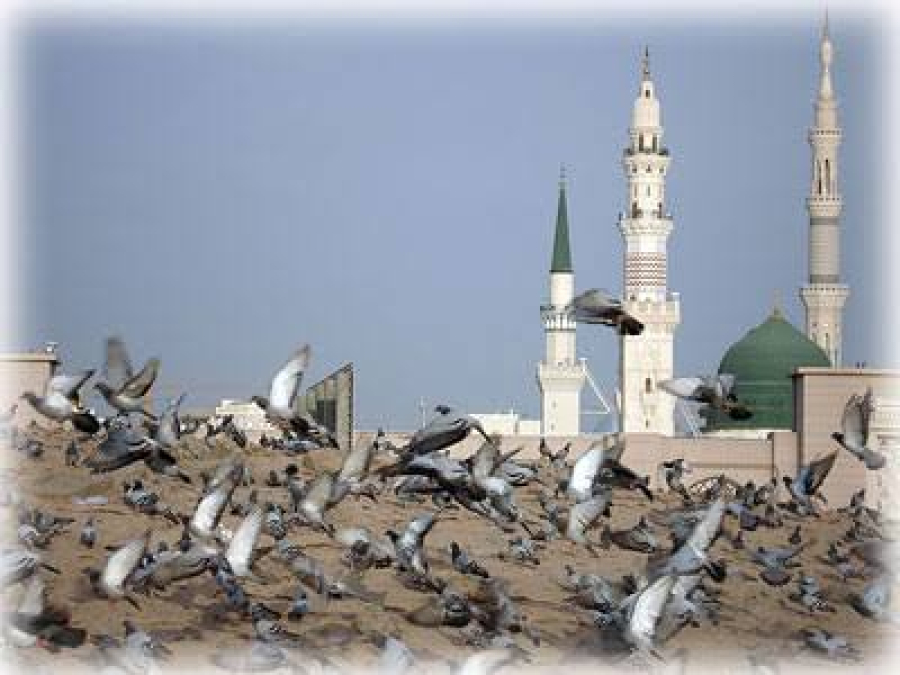 Why is visiting the Prophet’s grave important for Shi’a Muslims during Hajj?