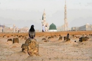 Al Baqi Cemetery