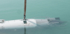 US moves to control narrative about IRGC drone hunt