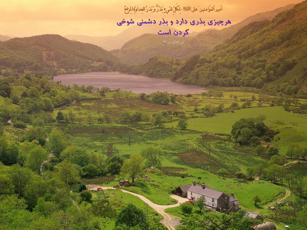 بذر دشمنی