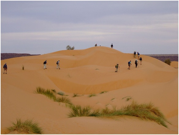 آشنایی با کشور موریتانی