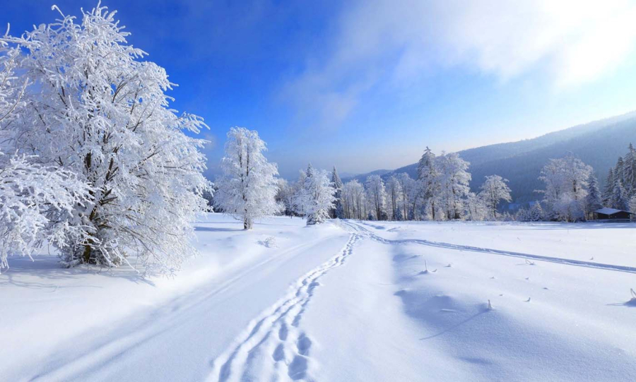 فایده سرما برای بدن