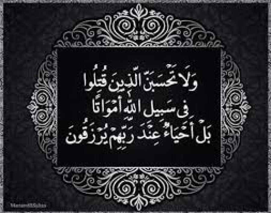 وَلَا تَحْسَبَنَّ الَّذِينَ قُتِلُوا فِي سَبِيلِ اللَّهِ أَمْوَاتًا ۚ بَلْ أَحْيَاءٌ عِنْدَ رَبِّهِمْ يُرْزَقُونَ