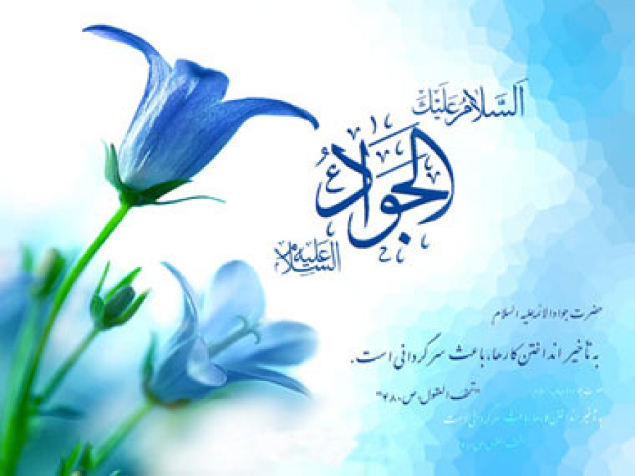 امام جواد( ع) و رهبرى شيعه پس از امام رضا(ع)