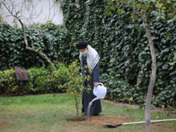 بیانات پس از کاشت نهال در روز درختکاری