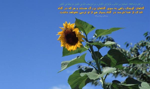 توصیه‌های امام رضا(ع)درباره سبک زندگی