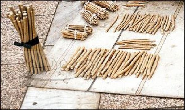 کشف اثر درماني جديد براي چوب مسواک مکه در اصفهان