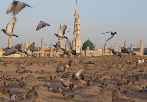 راز اختلاف در تاریخ شهادت حضرت زهرا(س)