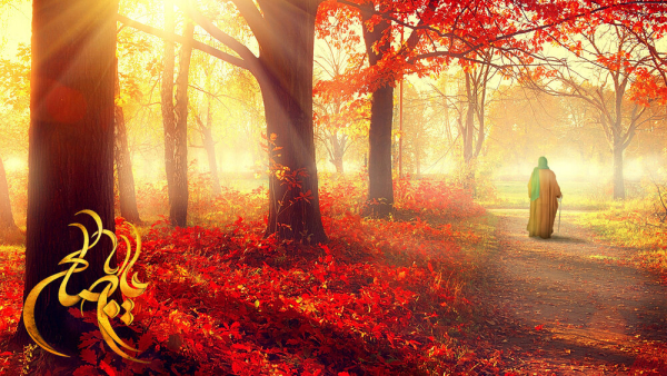 چرا امام زمان (عج) را شریک‌القرآن می‌نامیم؟