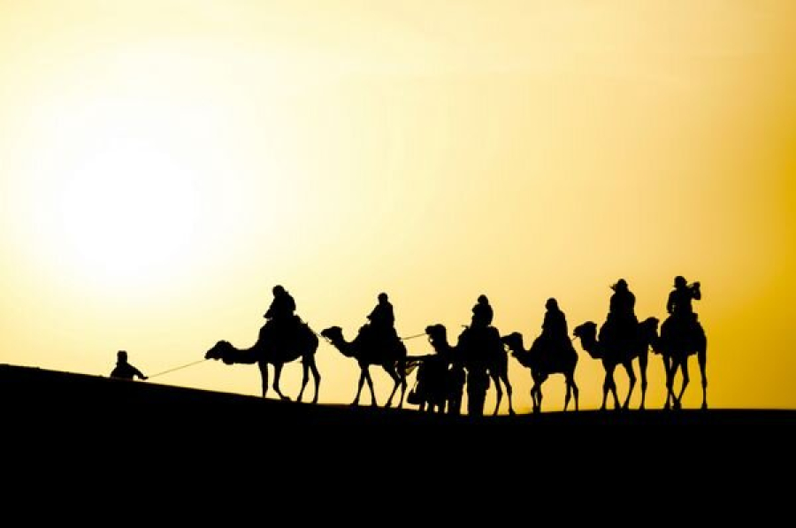 زنان کاروان حسینی؛ راویان نخستین عاشورا